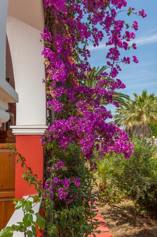 Tropical Studios Laganas Extérieur photo